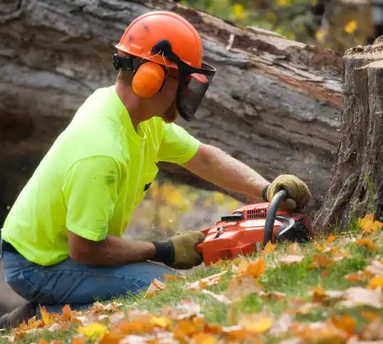 tree services Farmington